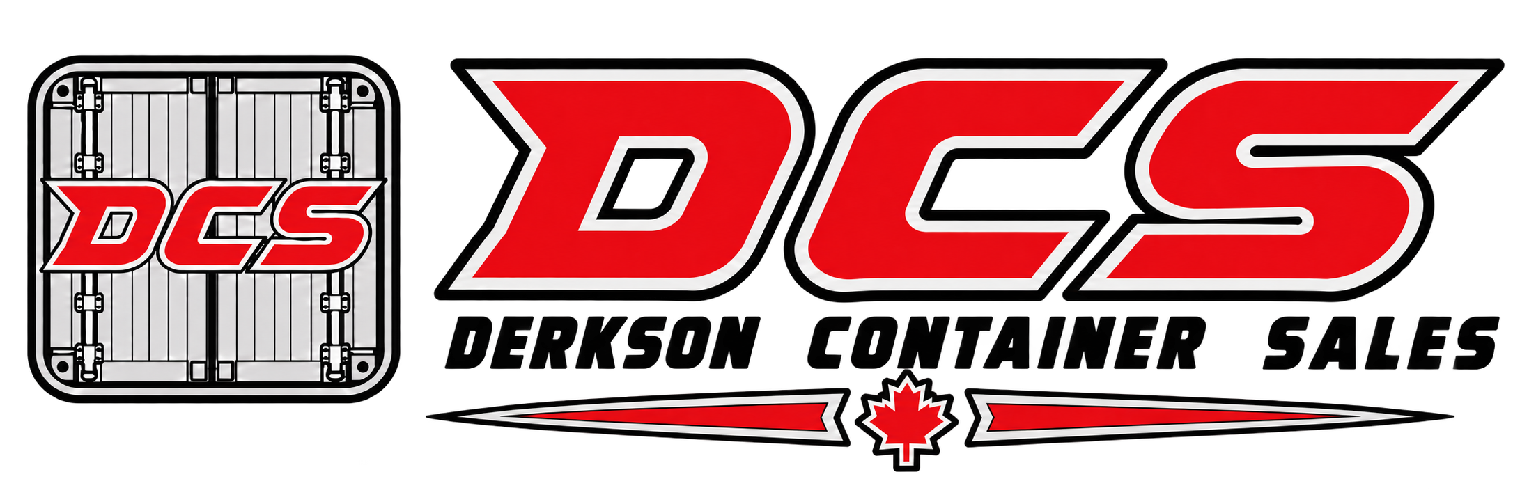 DCS solid-colour website logo design — image 1